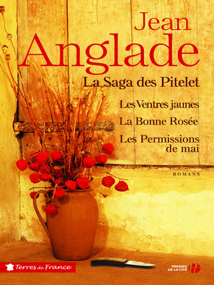 cover image of La saga des Pitelet